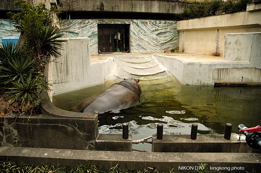 ueno park 57.jpg - 上野公園